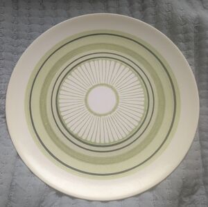 Stylish Green and White Dinner Plate